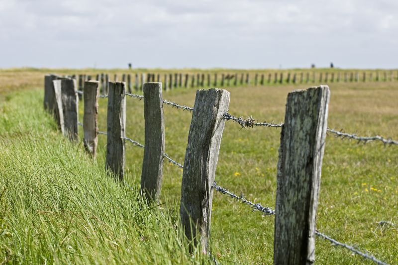 Wire Fencing Service